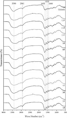 Effect of Freezing Process on the Microstructure of Gelatin Methacryloyl Hydrogels